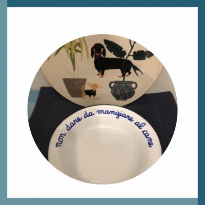 PIATTO "NON DARE DA MANGIARE AL CANE " ALTMEANSOLD