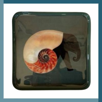 Svuotatasche quadrato Shellephant