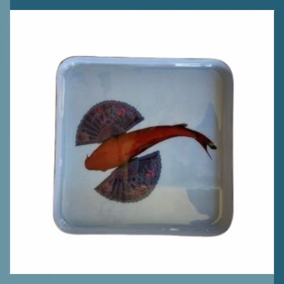 Svuotatasche quadrato Fishkoi