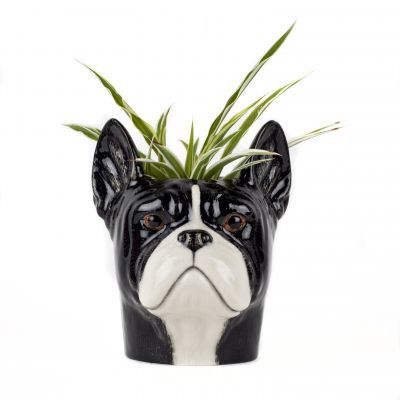 Vasetto portapenne bull dog francese Quail